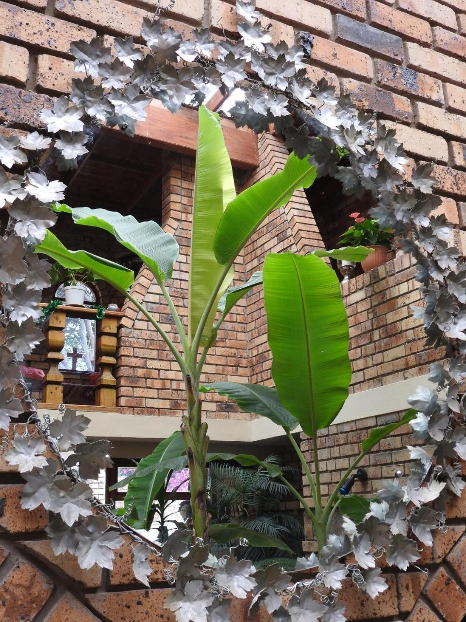 Mossel Bay Guest House Exterior foto